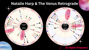 Natalie Harp: Venus Retrograde